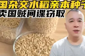 汉奸！卖国贼窃取我国杂交水稻亲本种子，被以间谍罪判刑1年6个月视频封面