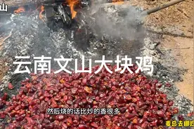云南文山彝族大块鸡，土鸡剁成超大块，土烧辣椒做蘸水，巨香视频封面