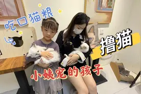 糖糖小姨带着她去猫店玩，一只只小猫太可爱了，糖糖非要抱走一只视频封面
