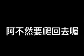 台灣經典記者爆笑合集!视频封面