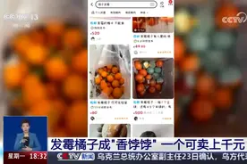 发霉橘子成“香饽饽” 一个可卖上千元？视频封面