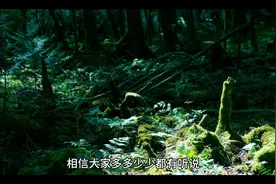 富士山下恐怖禁地！日本自杀森林！胆小慎入视频封面