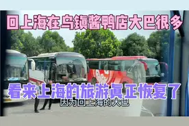 回上海在乌镇酱鸭店的大巴很多，看来上海的旅游真正恢复了视频封面
