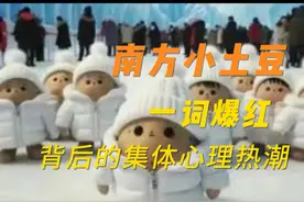 “南方小土豆”背后，一场集体的心理退行视频封面