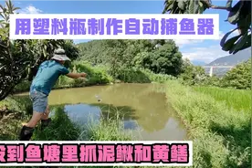 用不要钱的塑料瓶制作了两个自动捕鱼器，投到鱼塘里抓泥鳅和黄鳝视频封面