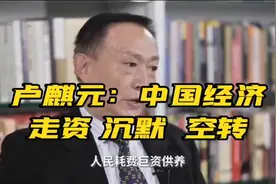 卢麒元说中国经济，重点分析走资，沉默，空转，分析透彻深刻有据视频封面
