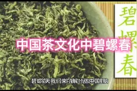 碧螺春中国茶文化之魁宝。视频封面