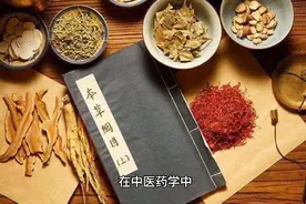 金沸草视频封面