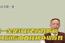 卢麒元:五险一金是针对老百姓的税，建议取消后由直接税补给百姓视频封面