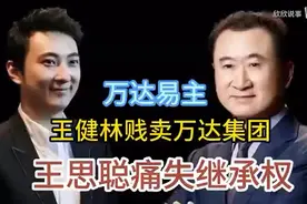 万达易主！王健林股权被冻结，贱卖万达集团，王思聪痛失继承权视频封面