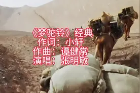 【《梦驼铃》经典完整版-张明敏】海棠血泪背后的真实故事视频封面