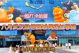 八月武汉凯德西城偶遇加菲猫，一起打卡拍照寻一处好哇塞的纳凉地视频封面
