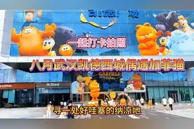 八月武汉凯德西城偶遇加菲猫，一起打卡拍照寻一处好哇塞的纳凉地视频封面