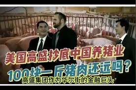 高盛资本在我国横行到如此地步，高盛犹太财阀们可以无孔不入视频封面