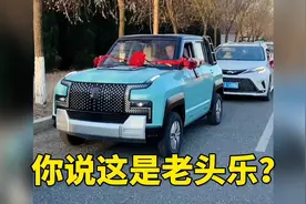 不是兄弟，你管这玩意儿叫老头乐。视频封面