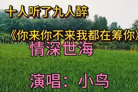 十人听了九人醉《你来你不来我都在等你》情深世海：演唱：小鸟视频封面