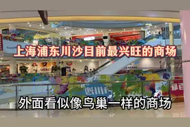 上海浦东川沙目前人气最旺的商场，城市副中心经济发展潜力巨大视频封面