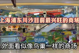 上海浦东川沙目前人气最旺的商场，城市副中心经济发展潜力巨大视频封面