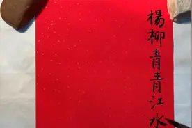唐·刘禹锡《竹枝词二首》（其一）杨柳青青江水平视频封面