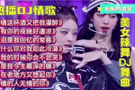 2025火遍全网车载DJ串烧《爱情这杯酒又把我灌醉》视频封面