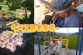 回家vlog  ||  今天又回老家咯~视频封面