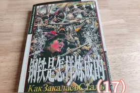世界文学名著《钢铁是怎样炼成的》〔俄〕尼.奥斯特洛夫斯基 17视频封面