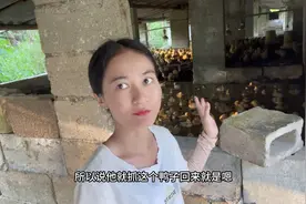 农村女孩独居深山，改造鱼池养800只鸭子，5块一只大家觉得贵吗？视频封面