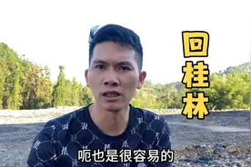 老谭这次回桂林要努力工作，尽快把债还清，做一个有担当的男人视频封面