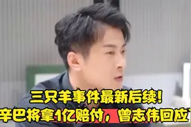 三只羊事件最新后续！辛巴将拿1亿赔付，曾志伟回应了视频封面