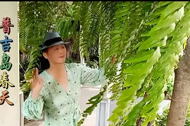 普吉岛的春天，是一幅绿色的画卷，生机勃勃的景象让人心旷神怡。视频封面