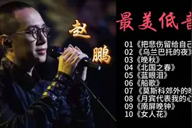 赵鹏最美低音炮，10首经典歌曲带你感受低音魅力！🎤🎵🎶