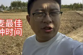 小麦播种的最佳时间来了，这个时间播种最科学视频封面