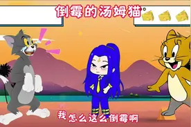 倒霉的汤姆猫视频封面