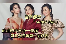 有人翻身有人大爆！盘点四大三小一蛇团第五张专辑第一主打歌#she视频封面