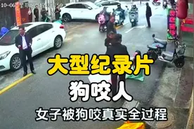 女子带娃抚摸路边狗反遭扑倒撕咬满脸是血，缝补500针索赔八百万视频封面