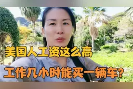 美国工资高，车又这么便宜，工作几小时就能买车？别想的太美了视频封面