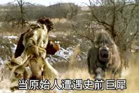 史前的生存多难？为了一头猎物，原始人在雪地里追击八百里！视频封面