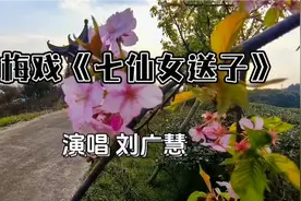 老艺术家刘广慧老师演唱的黄梅戏《七仙女送子》韵味独特感人肺腑视频封面