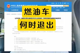 传统燃油车将以肉眼可见的速度退出国内市场