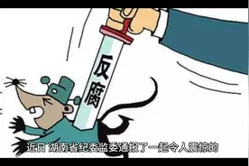 职校干部输送学生去实习，每月300元至600元标准收受贿赂255万元视频封面