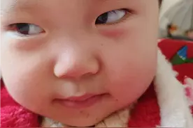 童心未泯所遇皆甜视频封面