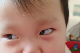童心未泯所遇皆甜视频封面
