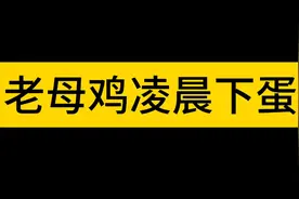 南京化纤，地方国企，做好人买好股？！地天板。凌晨下蛋老母鸡。视频封面