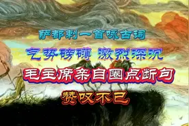 萨都剌一首咏古词，气势磅礴，毛主席亲自圈点断句，赞叹不已视频封面