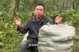兄弟们的工资怎么计算的，每天能赚多少钱？本期视频讲解！