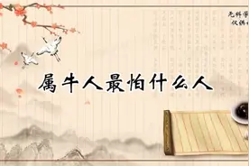 属牛人最怕什么人视频封面