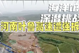 河南叶鲁高速公路下的强拆视频封面