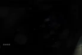 面目狰狞以人为食的怪物-却被日本人奉为神明-河童真的存在吗？视频封面