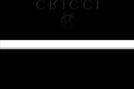 意大利轻奢男装品牌CRICCI凯瑞奇新品隆重发布！07122858126视频封面