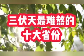三伏天最煎熬的十大省份，高温潮湿闷热，看看有你家乡吗视频封面